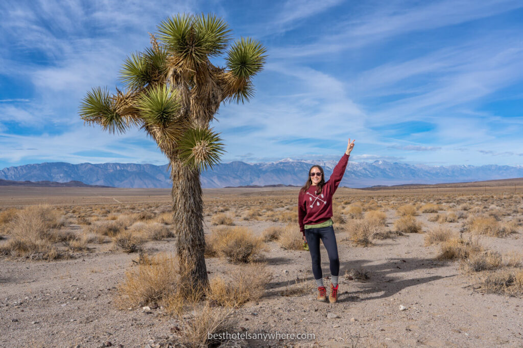 Woman with arm in the air stood next to a tall Joshua Tree in the Californian desert on a sunny day