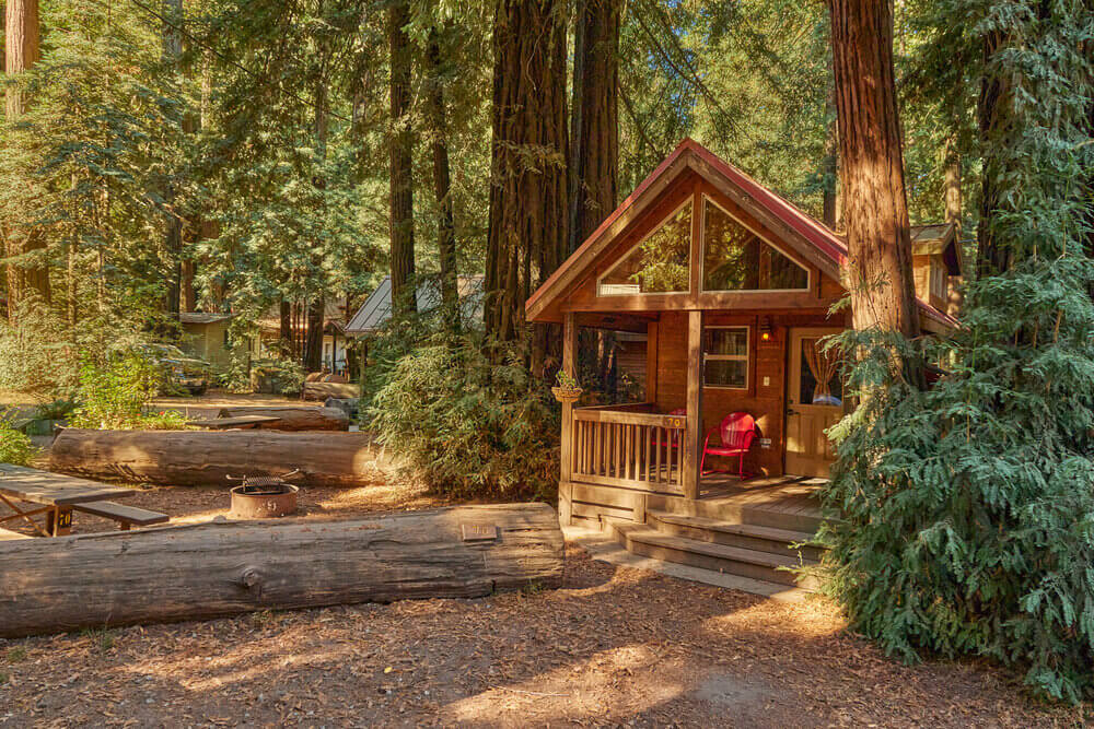 Wooden cabin in the woods surrounded by trees and logs on the ground in Big Sur California