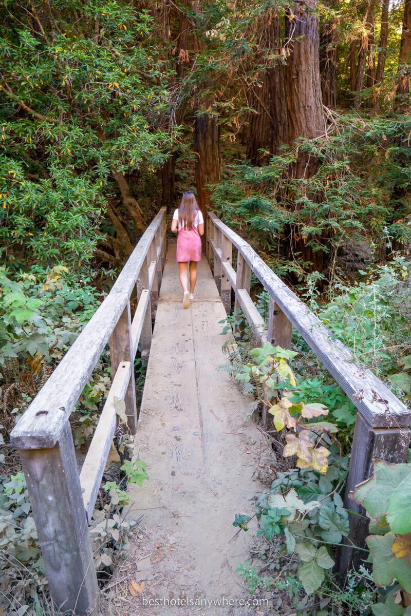 Woman walking across wooden bridge into forest