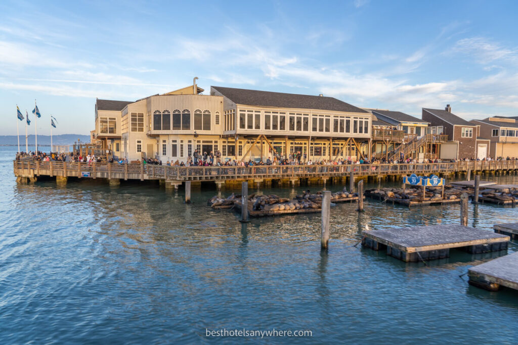 Pier 39 in San Francisco from the water docks filled with sea lions and crowds of tourists taking photos
