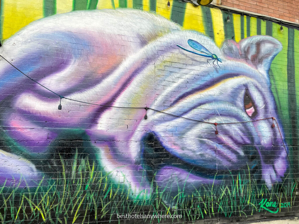 Wall art at Bushwick Collective huge French Bulldog spray painted onto a wall