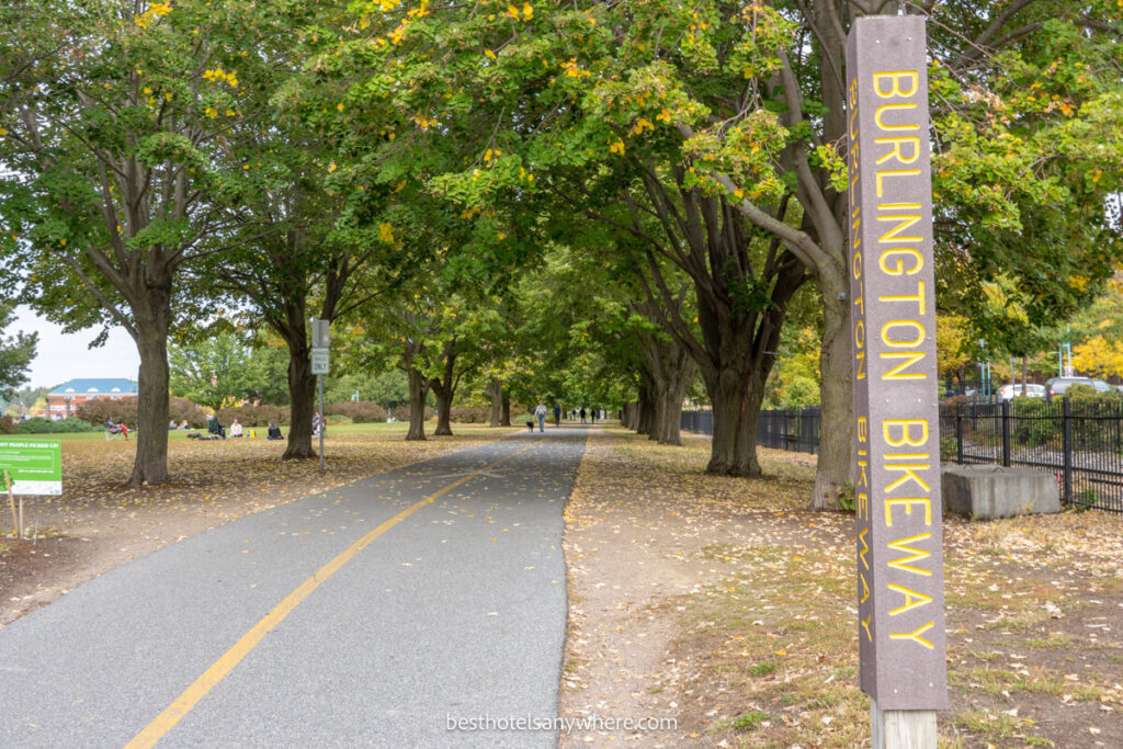 Burlington bikeway cycle path leading through trees