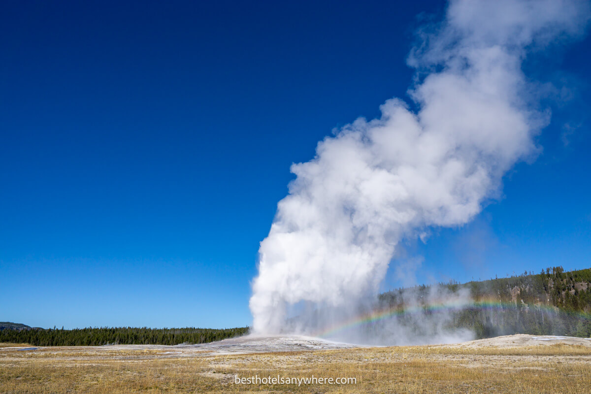 Old Faithful geyser erupting with a rainbow on a clear day with deep blue sky