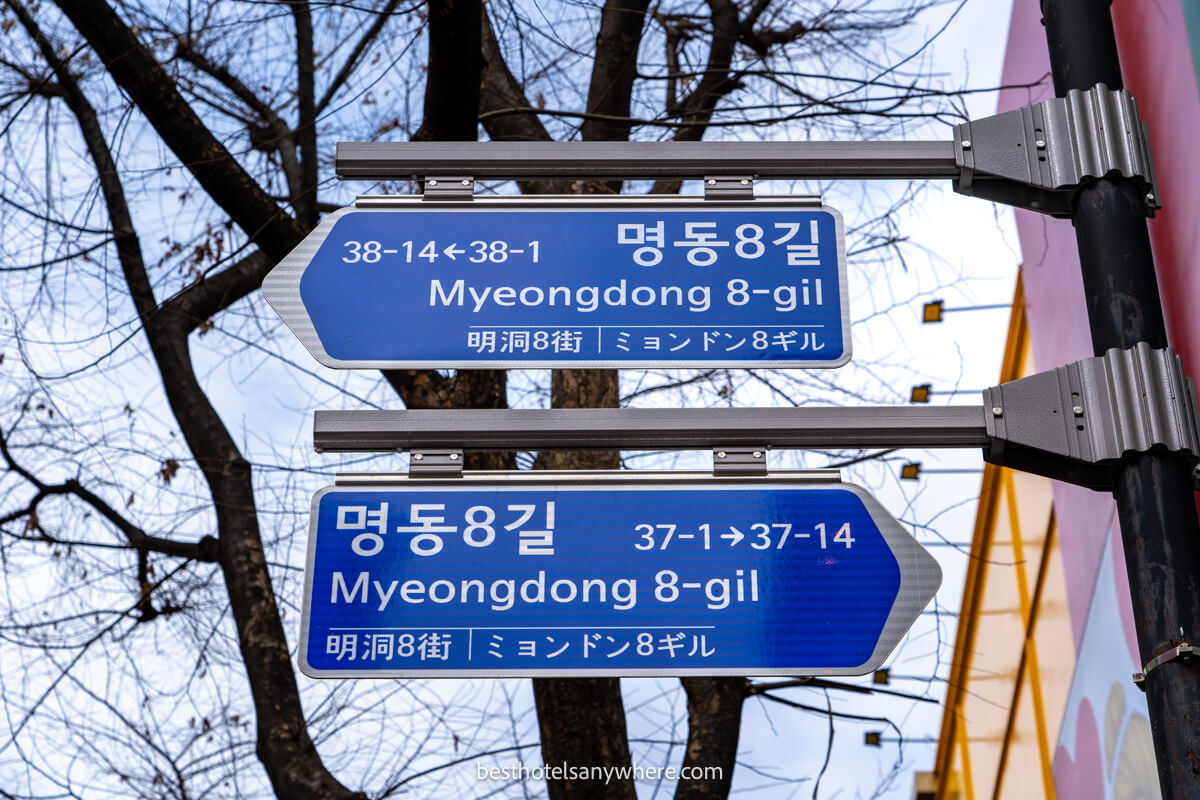 Myeongdong street signs showing roads to the left and right