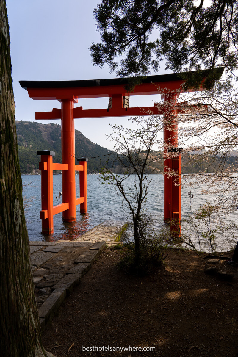 The famous heiwa no torii red gate in late afternoon with soft light