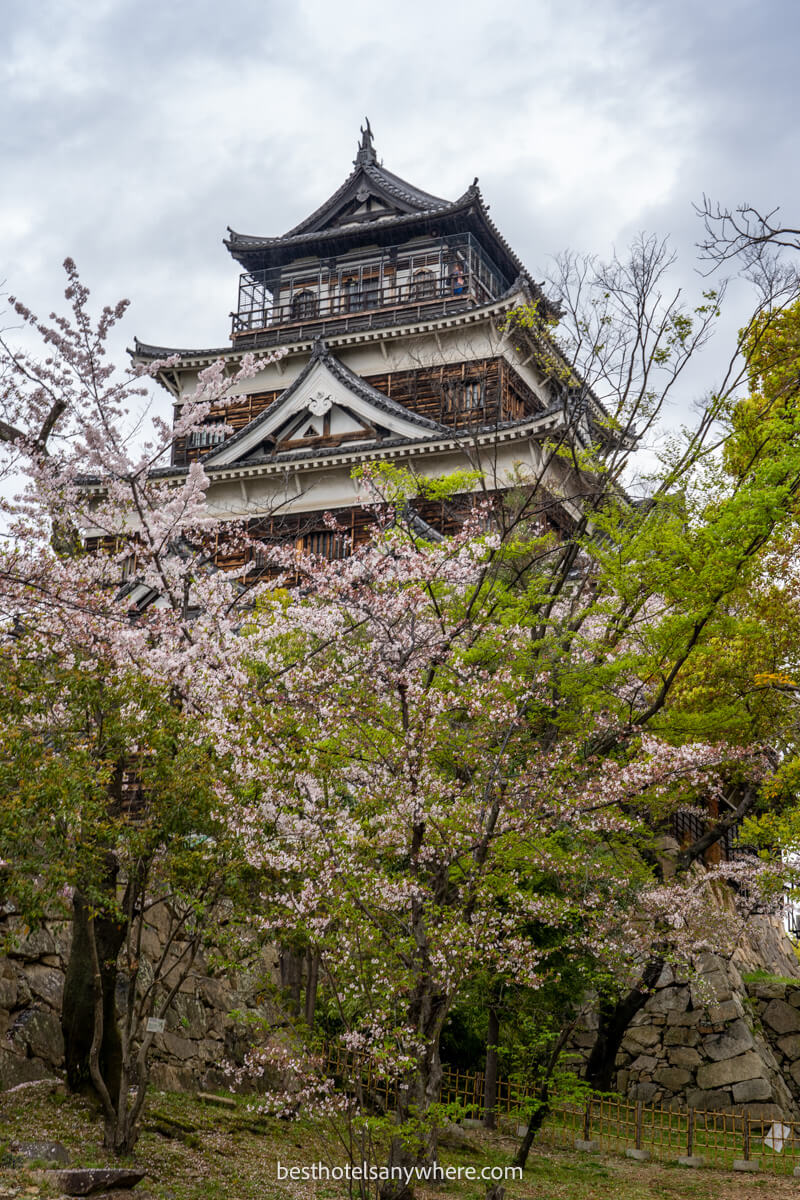 Hiroshima castle from below with cherry trees