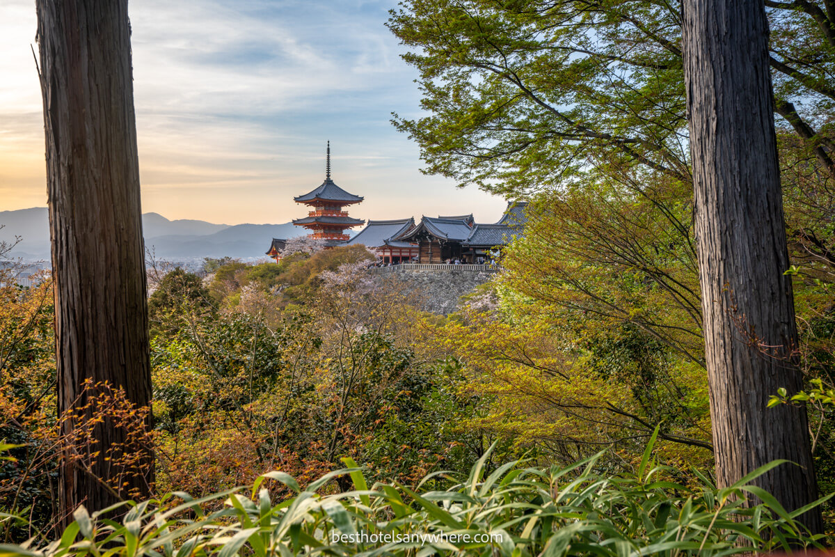 View overlooking Kiyomizu-dera Temple in Kyoto at sunset with trees in the foreground