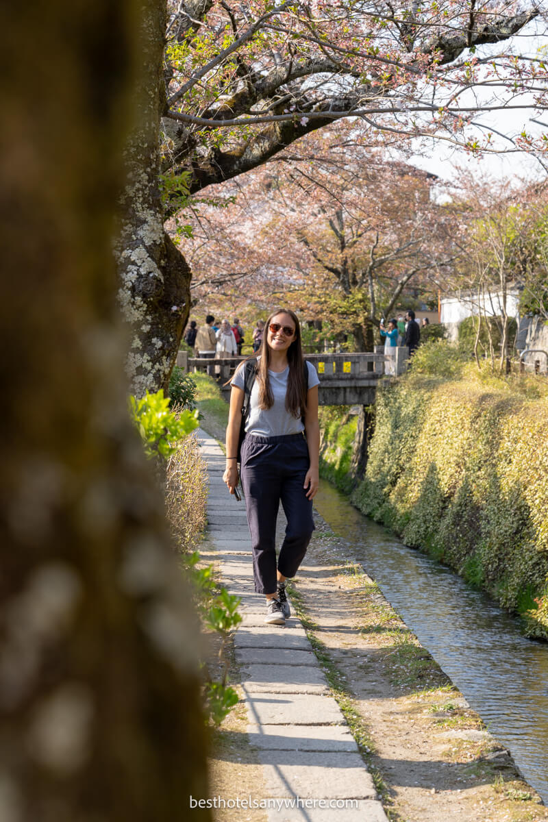 Tourist walking the Philosopher's Path in Kyoto during cherry blossoms