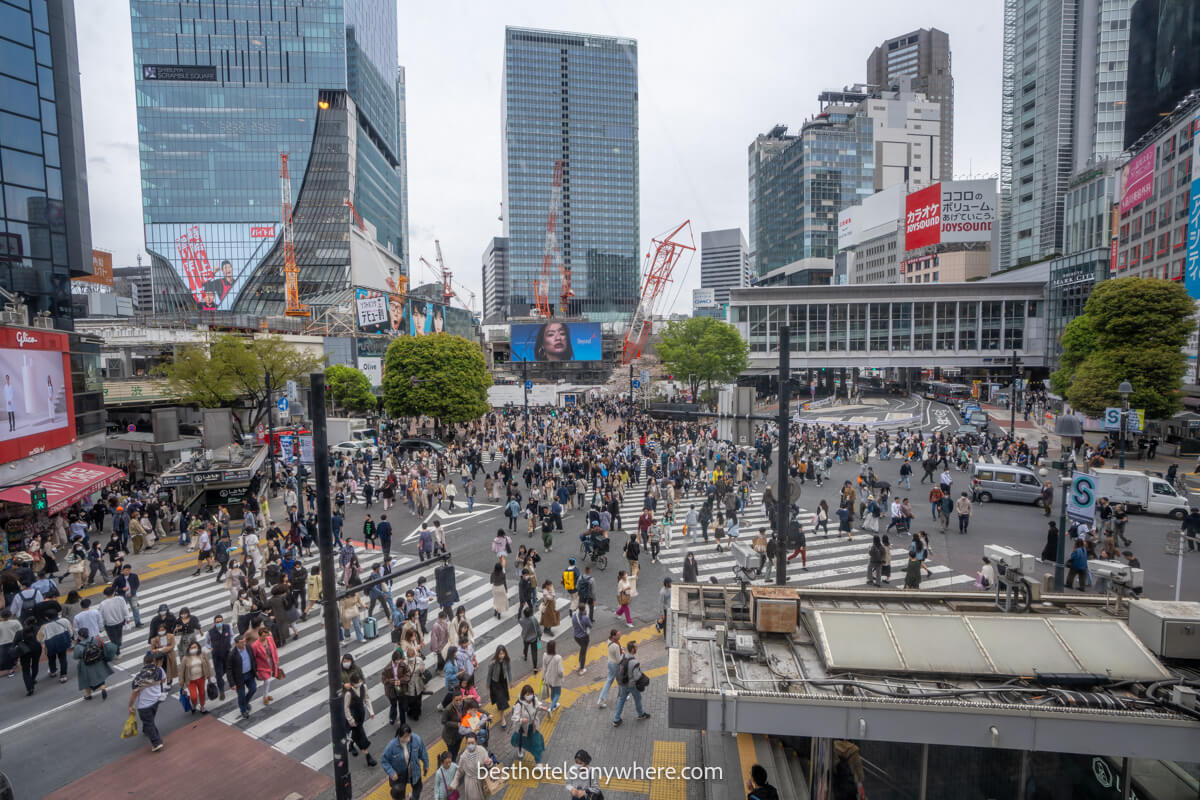 Shibuya scramble crossing filled with people on the road