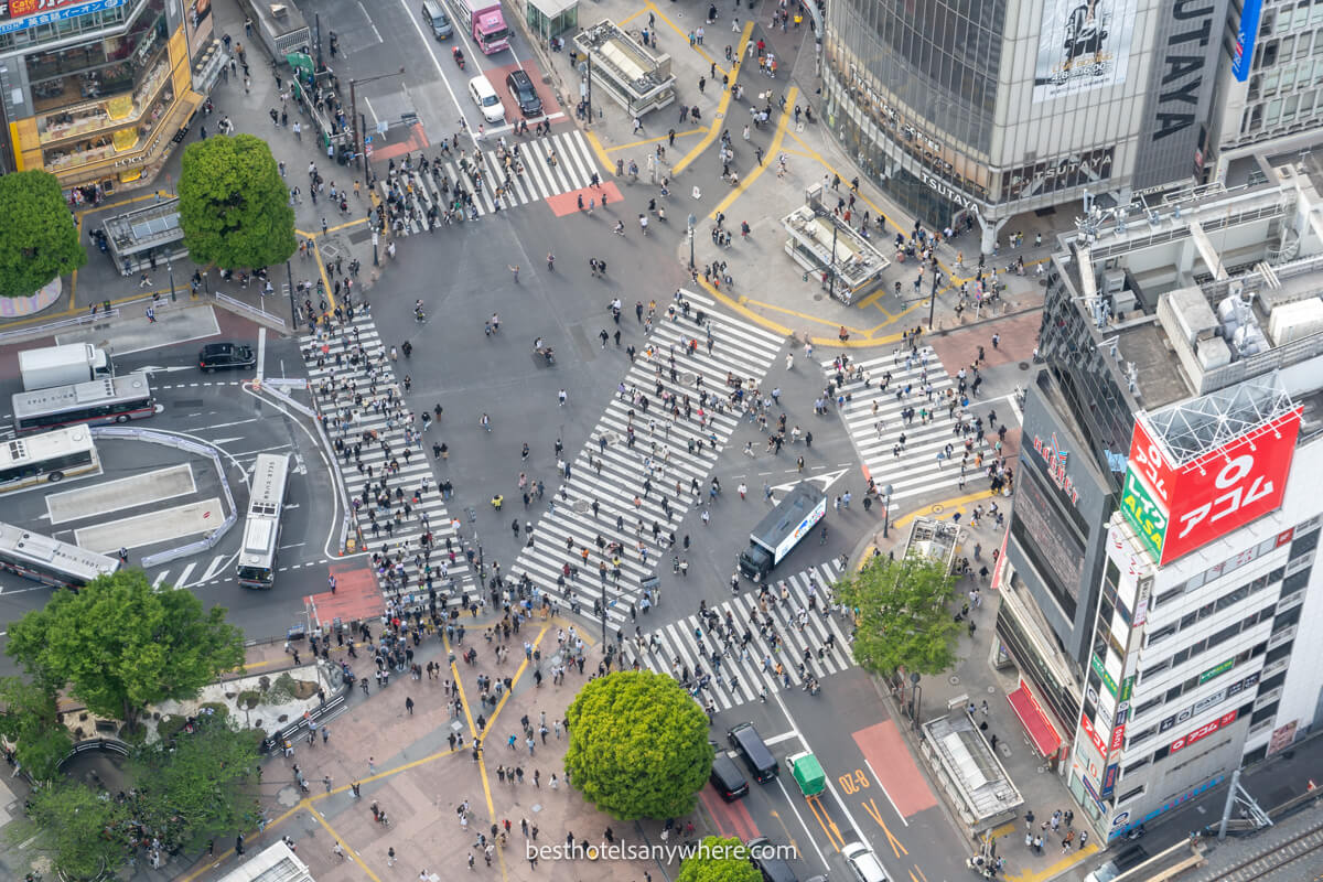 Elevated photo of Shibuya Scramble Crossing looking down from above at Shibuya Sky observation deck