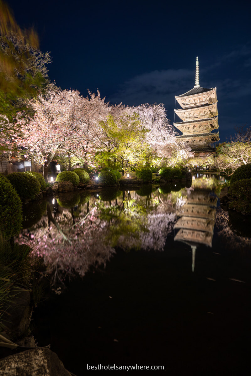 Toji Temple lit up at night with reflection in water in Kyoto