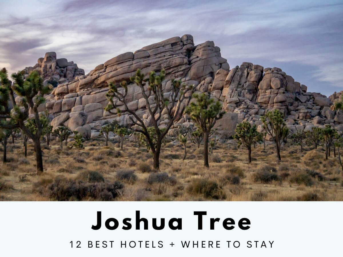 Best Joshua Tree hotels top rated lodging options in towns near Joshua Tree National Park
