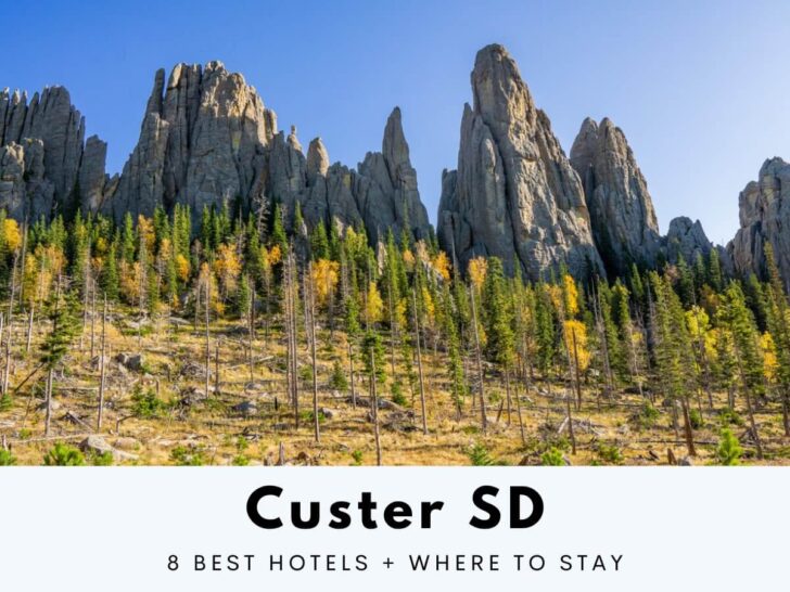 8 Top Rated Hotels In Custer SD