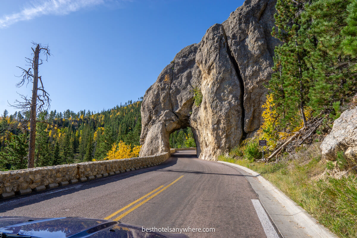 Photo of Needles Highway and a short tunnel taken from inside the car on a clear day in fall
