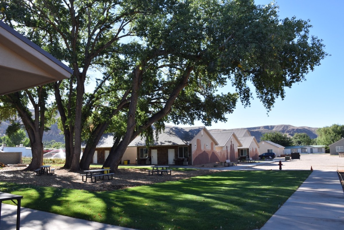 Photo of small buildings next to a huge tree and grassy field