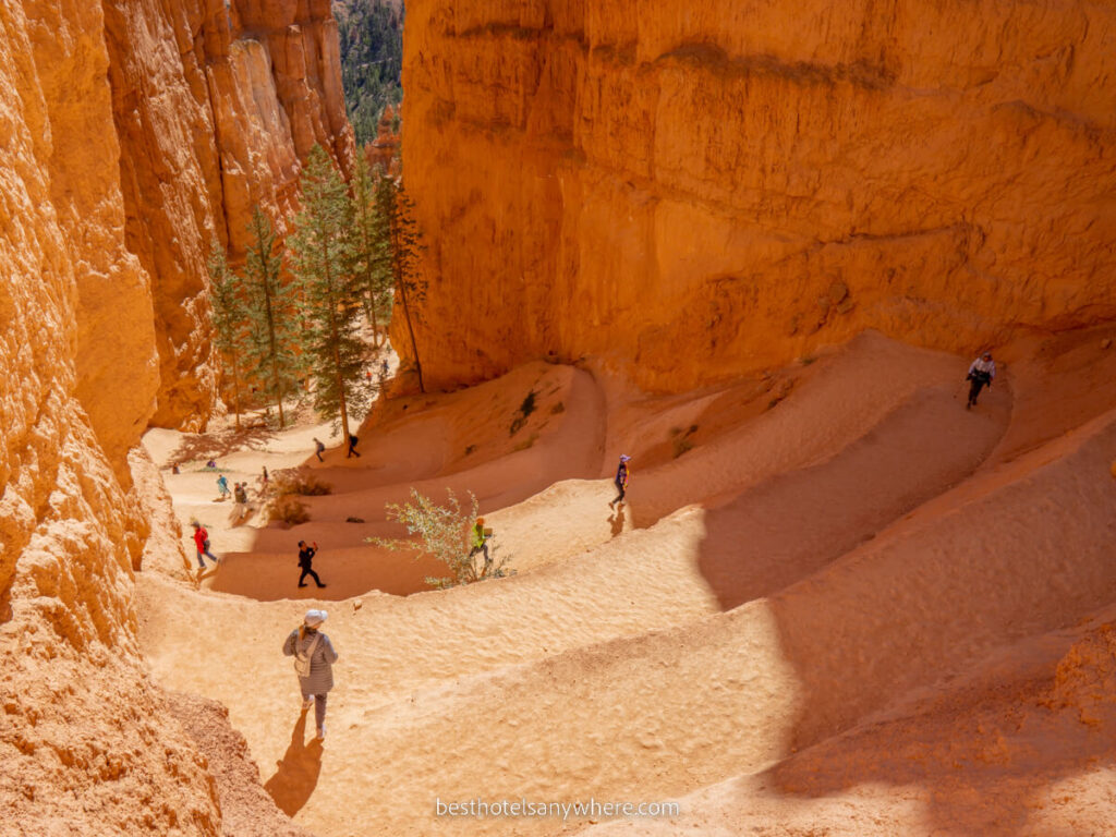 Switchbacks leading down into the orange sandstone landscape at Bryce Canyon on a sunny day with shadows