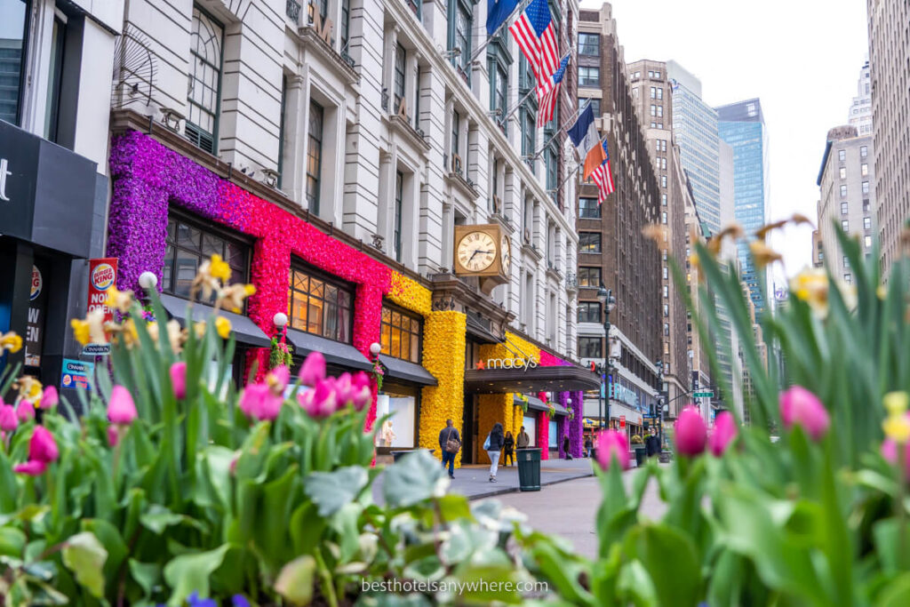 Macy's department store in New York with flowers in the foreground